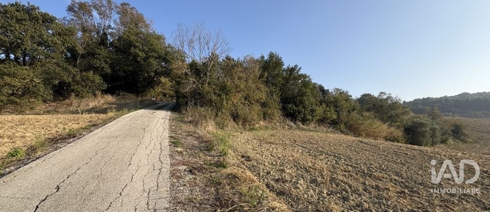 Terreno agricolo di 63.170 m² in Montecosaro (62010)
