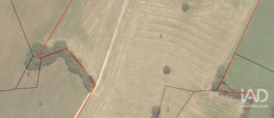 Terreno agricolo di 63.170 m² in Montecosaro (62010)