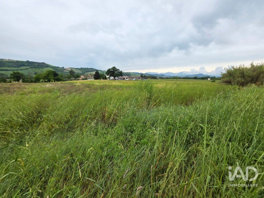 Terreno di 5.005 m² in Montegiorgio (63833)