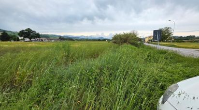Terreno di 5.005 m² in Montegiorgio (63833)