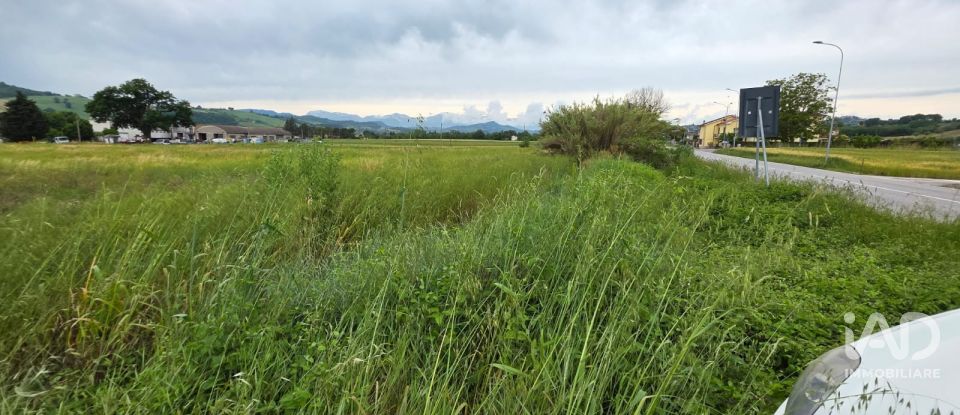 Terreno di 5.005 m² in Montegiorgio (63833)