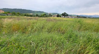 Terreno di 5.005 m² in Montegiorgio (63833)