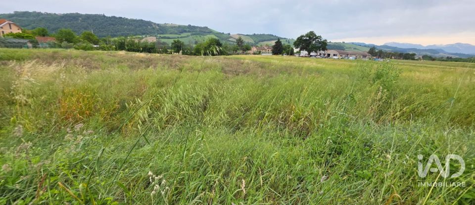 Terreno di 5.005 m² in Montegiorgio (63833)