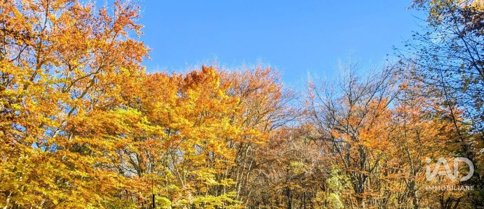 Appartamento 6 locali di 75 m² a Campo di Giove (67030)