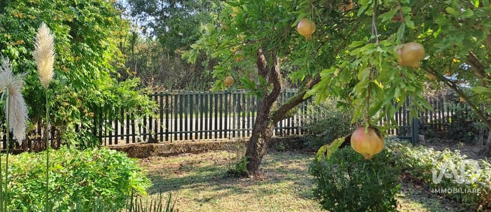 Casale 11 locali di 273 m² in Masio (15024)