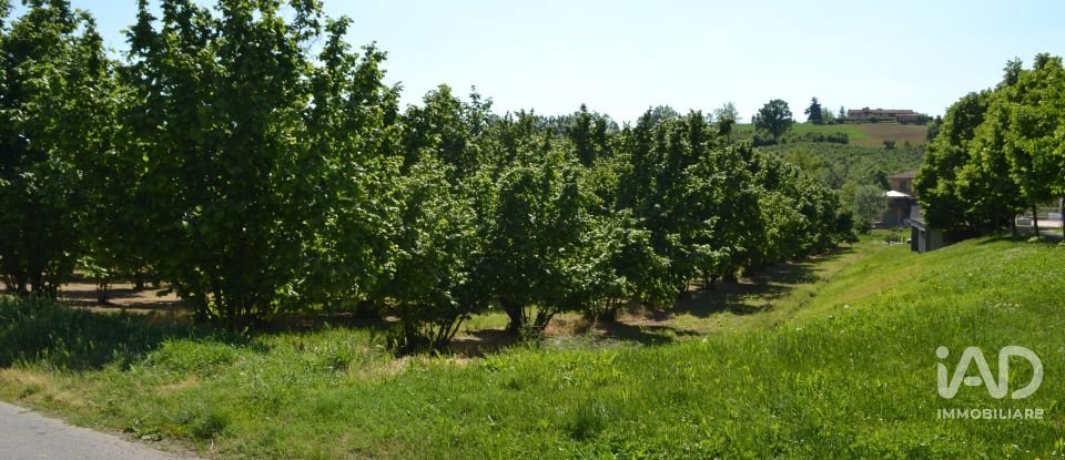 Land of 4,774 m² in Guarene (12050)