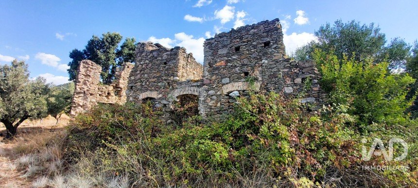 Farm land of 13,351 m² in Falerna (88042)