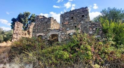 Terreno agricolo di 13.351 m² in Falerna (88042)