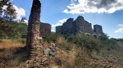 Terreno agricolo di 13.351 m² in Falerna (88042)