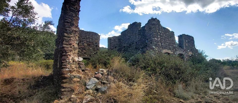 Farm land of 13,351 m² in Falerna (88042)