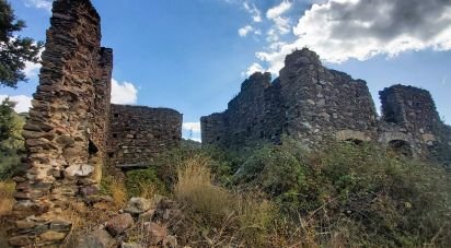 Terreno agricolo di 13.351 m² in Falerna (88042)