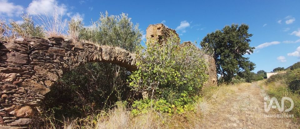 Farm land of 13,351 m² in Falerna (88042)