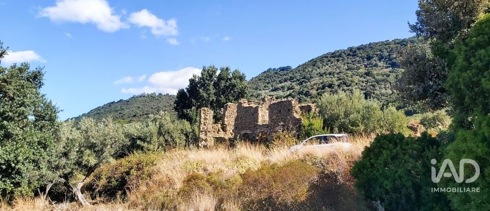 Farm land of 13,351 m² in Falerna (88042)
