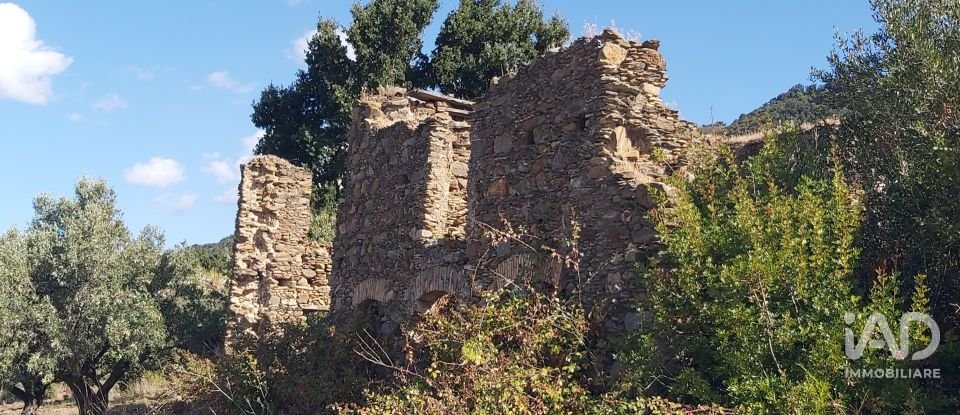 Farm land of 13,351 m² in Falerna (88042)