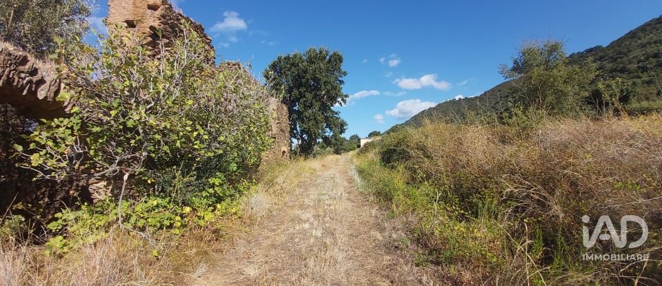 Farm land of 13,351 m² in Falerna (88042)
