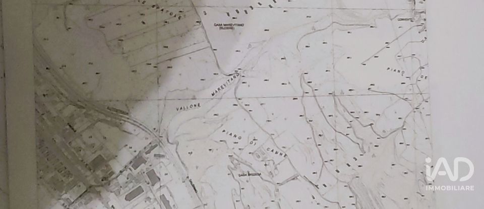 Farm land of 13,351 m² in Falerna (88042)