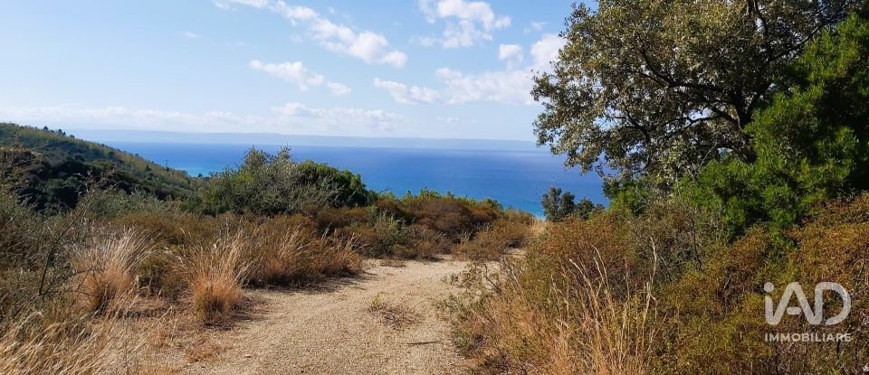 Farm land of 13,351 m² in Falerna (88042)