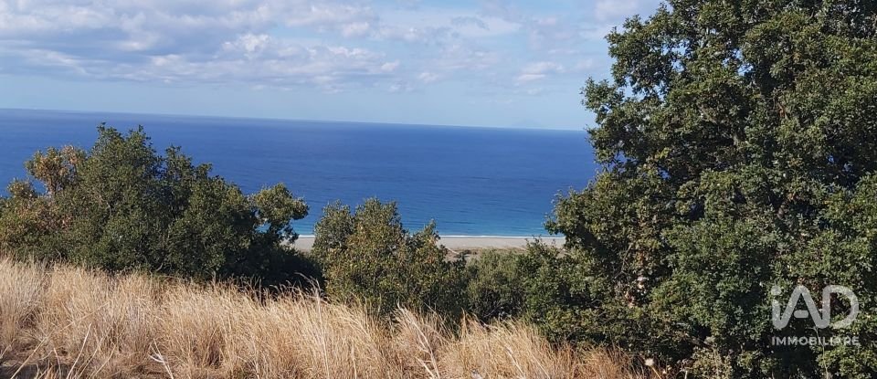 Farm land of 13,351 m² in Falerna (88042)