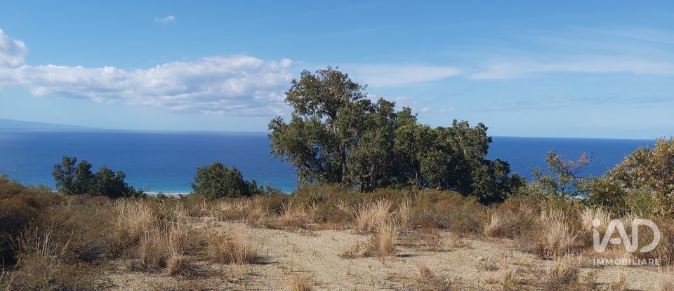 Farm land of 13,351 m² in Falerna (88042)