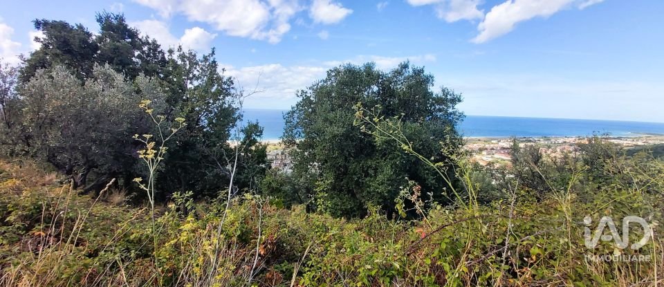 Farm land of 13,351 m² in Falerna (88042)