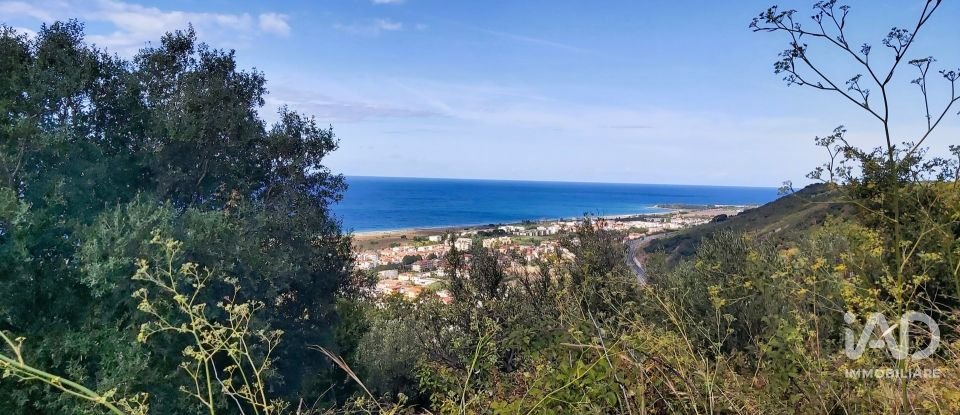 Farm land of 13,351 m² in Falerna (88042)