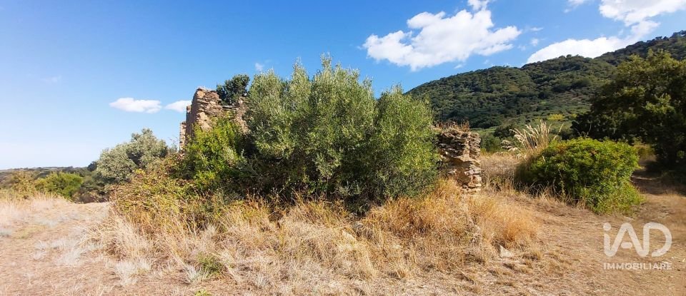 Farm land of 13,351 m² in Falerna (88042)