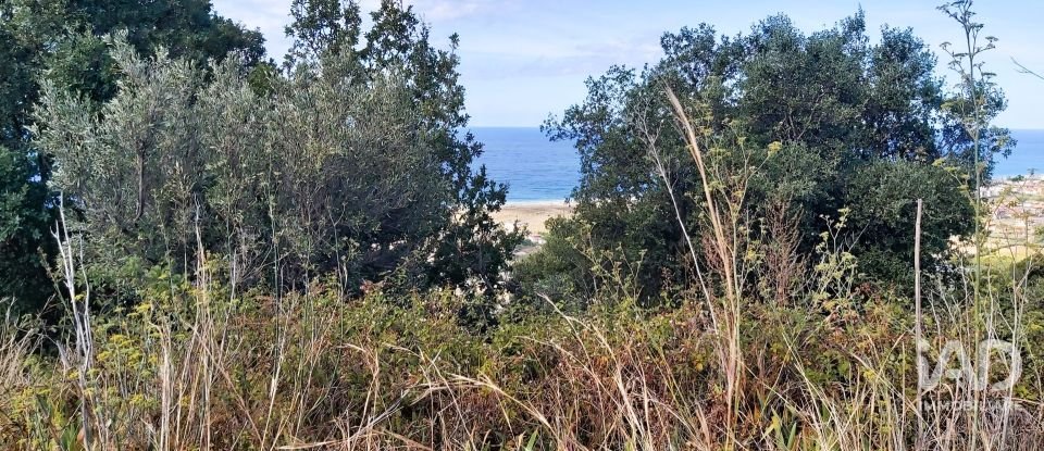 Farm land of 13,351 m² in Falerna (88042)