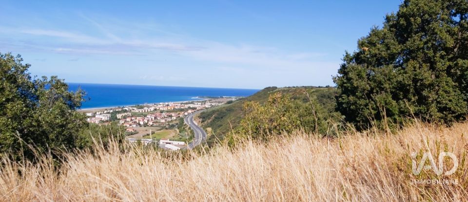 Farm land of 13,351 m² in Falerna (88042)