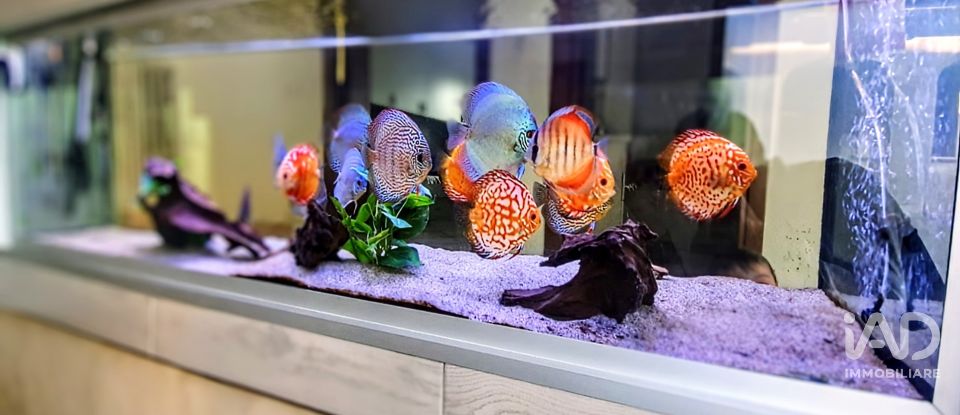 Abitazione 6 locali di 116 m² in Sulmona (67039)