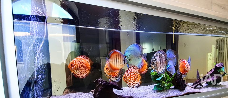 Abitazione 6 locali di 116 m² in Sulmona (67039)