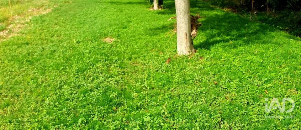 Abitazione 6 locali di 116 m² in Sulmona (67039)