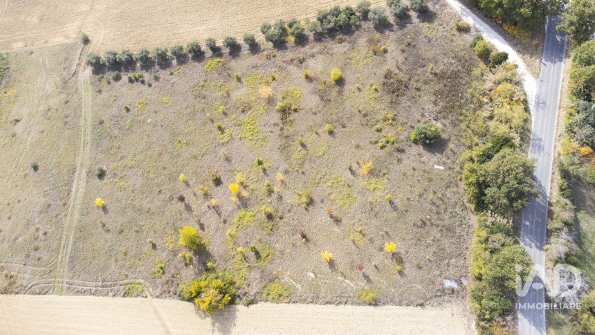 Terreno agricolo di 30.000 m² in Filottrano (60024)