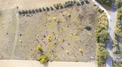 Terreno agricolo di 30.000 m² in Filottrano (60024)