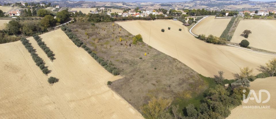 Terreno agricolo di 30.000 m² in Filottrano (60024)