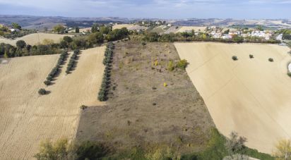Terreno agricolo di 30.000 m² in Filottrano (60024)