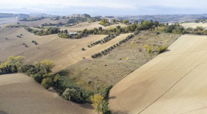 Terreno agricolo di 30.000 m² in Filottrano (60024)