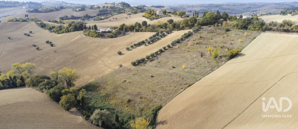 Terreno agricolo di 30.000 m² in Filottrano (60024)