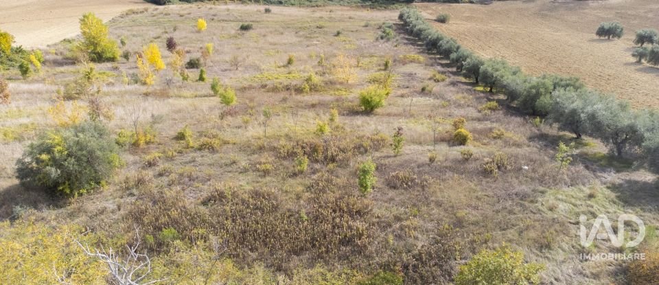Terreno agricolo di 30.000 m² in Filottrano (60024)