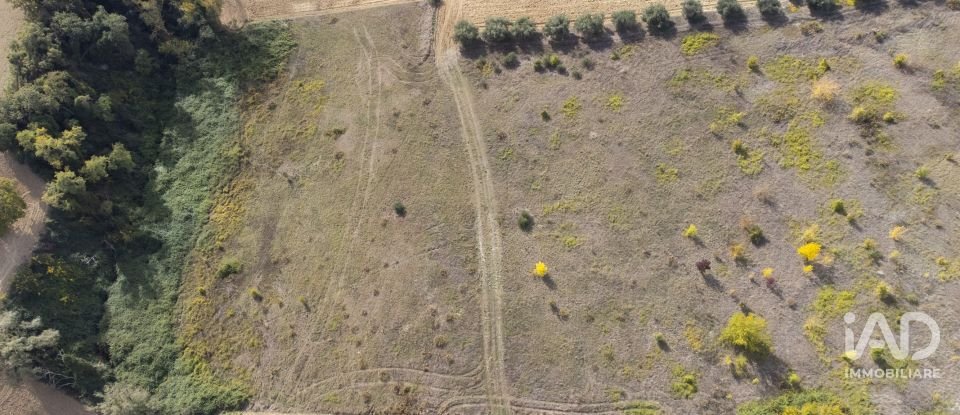 Terreno agricolo di 30.000 m² in Filottrano (60024)