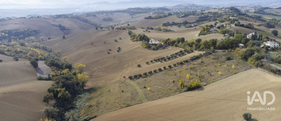 Terreno agricolo di 30.000 m² in Filottrano (60024)