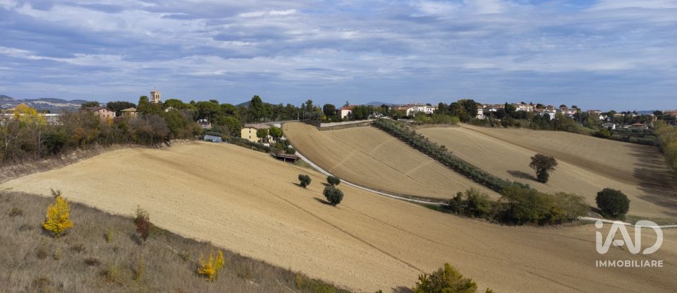Terreno agricolo di 30.000 m² in Filottrano (60024)