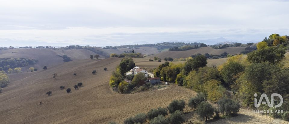 Terreno agricolo di 30.000 m² in Filottrano (60024)
