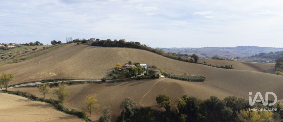 Terreno agricolo di 30.000 m² in Filottrano (60024)
