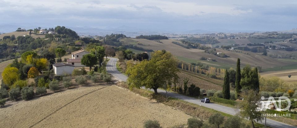Terreno agricolo di 30.000 m² in Filottrano (60024)