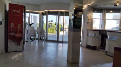 Bar di 66 m² in Senigallia (60019)