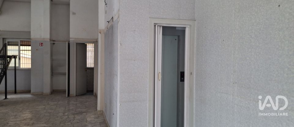 Shop / premises commercial of 983 m² in Palermo (90129)