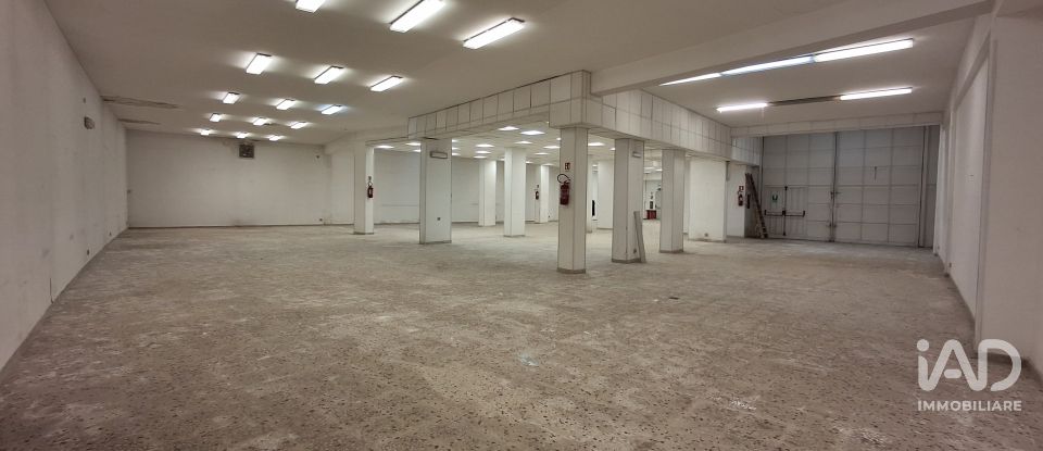 Shop / premises commercial of 983 m² in Palermo (90129)