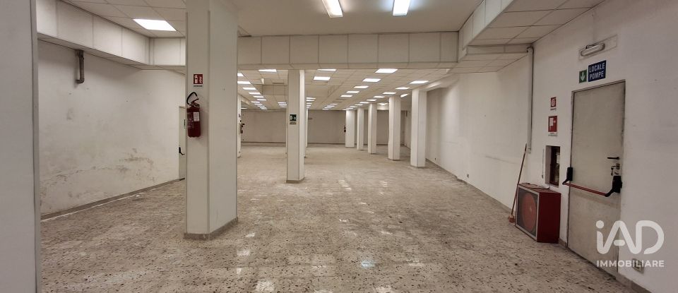 Shop / premises commercial of 983 m² in Palermo (90129)