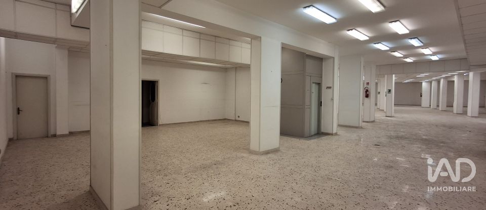Shop / premises commercial of 983 m² in Palermo (90129)