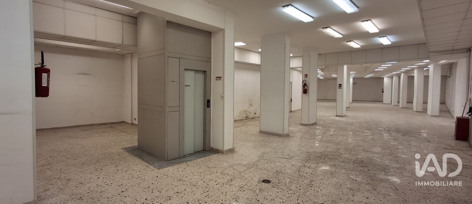 Shop / premises commercial of 983 m² in Palermo (90129)